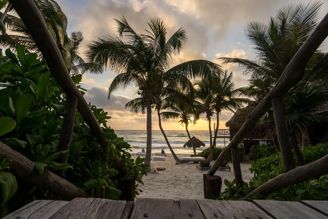 Hotel Luv Tulum